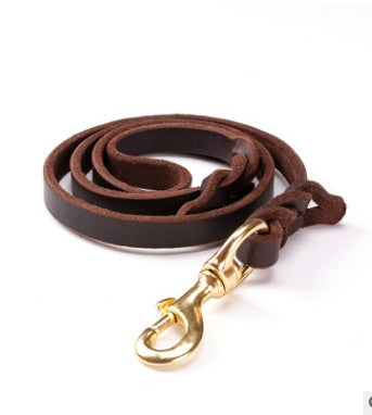 CarryWell Heritage Braided Leather Leash