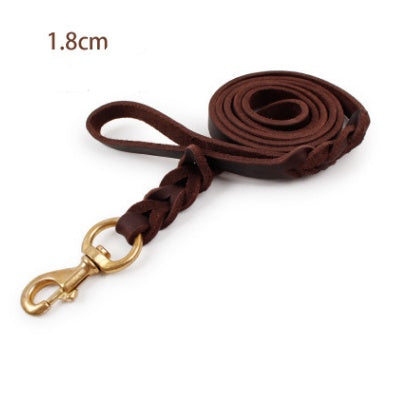 CarryWell Heritage Braided Leather Leash