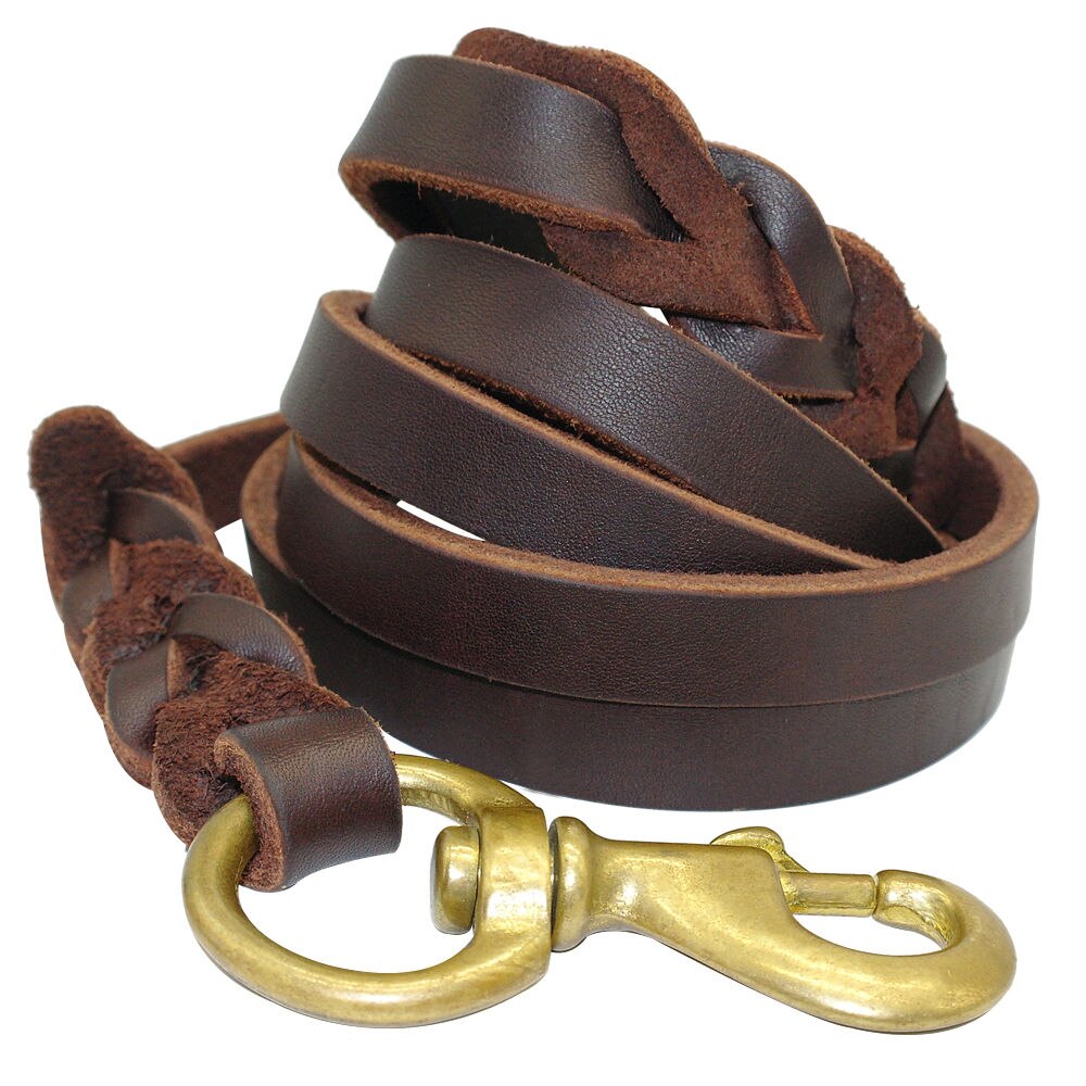 CarryWell Heritage Braided Leather Leash