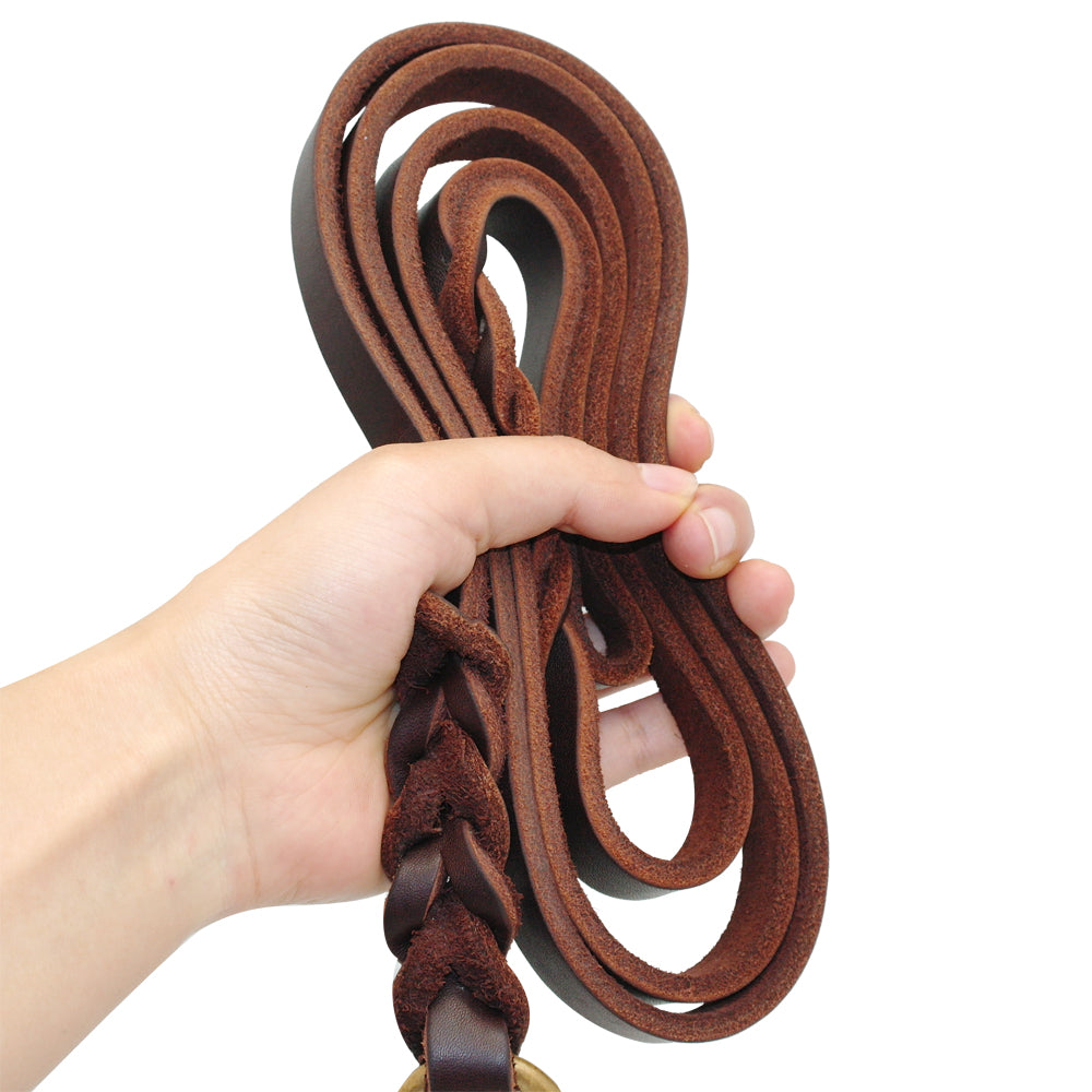 CarryWell Heritage Braided Leather Leash