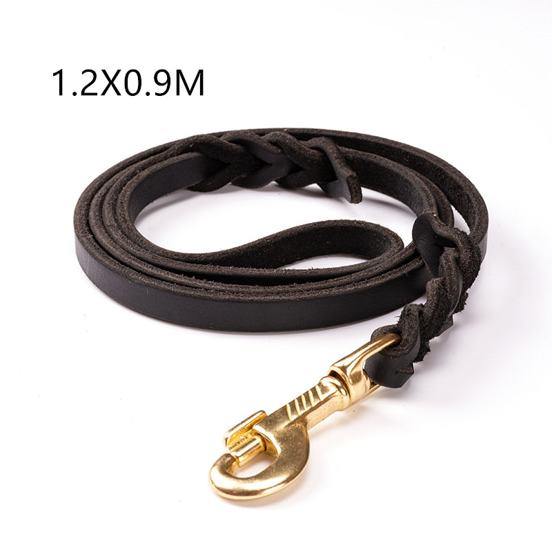 CarryWell Heritage Braided Leather Leash