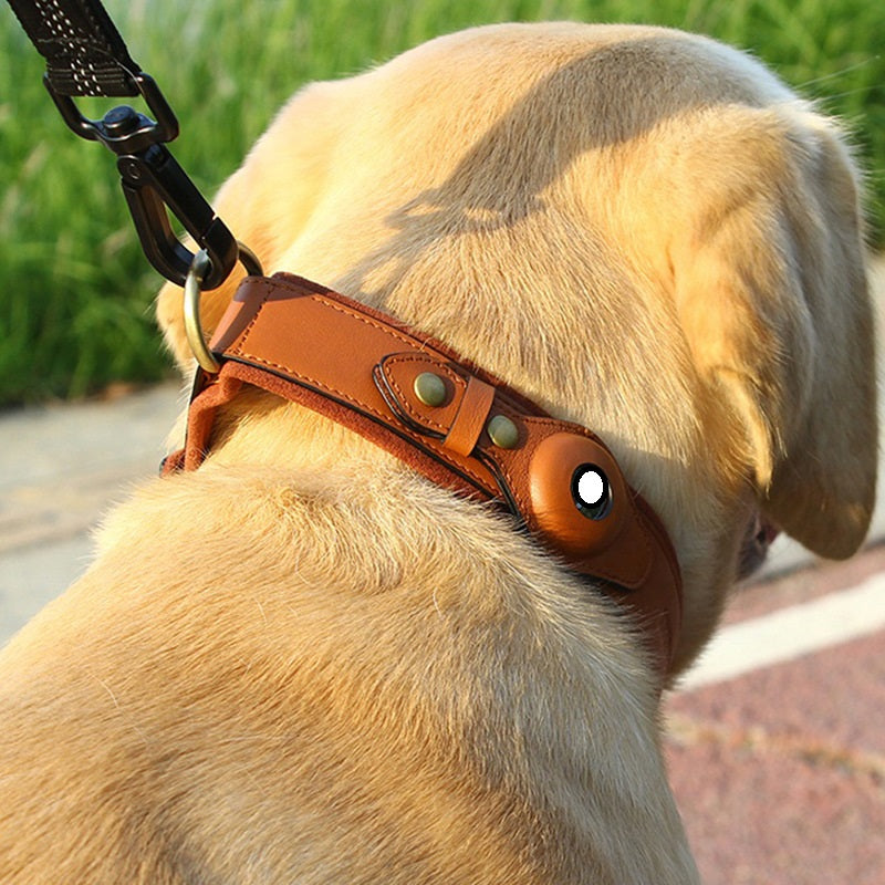 CarryWell Companion Secure AirTag Collar