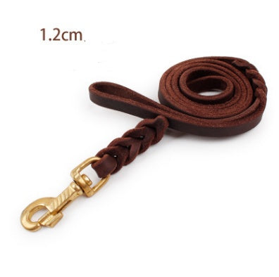 CarryWell Heritage Braided Leather Leash