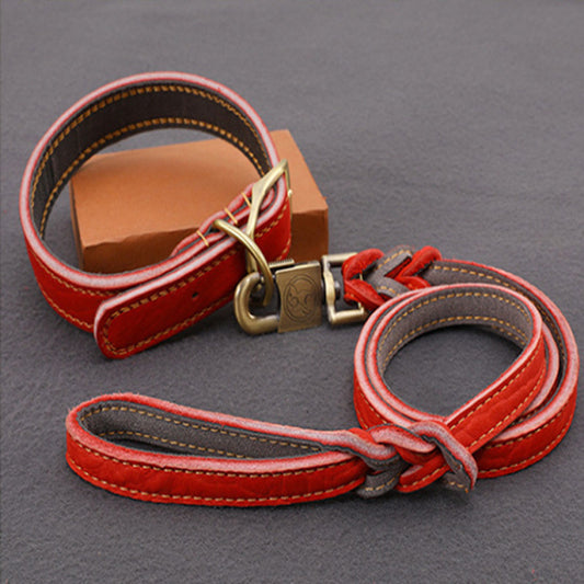 CarryWell Heritage Leather Collar & Leash Set